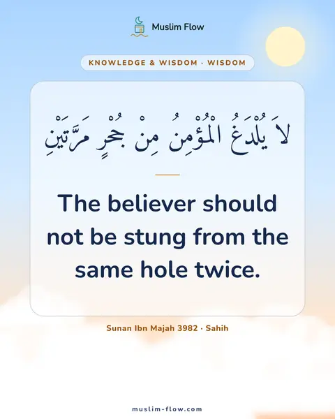 Sunan Ibn Majah 3982 · Sahih: The believer should not be stung from the same hole twice.