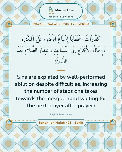 Sunan Ibn Majah 428 · Sahih: Sins are expiated by well-performed ablution despite difficulties, increasing the number of steps…