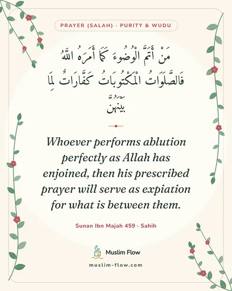 Sunan Ibn Majah 459 · Sahih: Whoever performs ablution perfectly as Allah has enjoined, then his prescribed prayer will serve as…