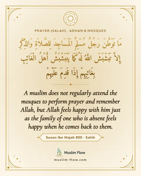 Sunan Ibn Majah 800 · Sahih: A muslim does not regularly attend the mosques to perform prayer and remember Allah, but Allah…