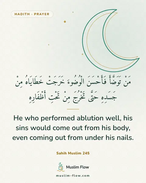 Sahih Muslim 245: He who performed ablution well, his sins would come out from his body, even coming out from under…