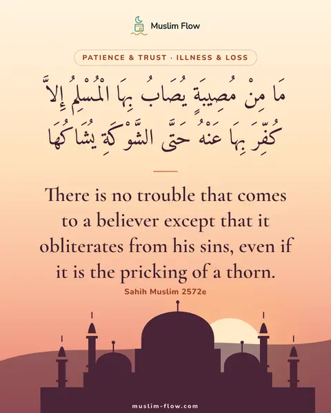 Sahih Muslim 2572e: There is no trouble that comes to a believer except that it obliterates from his sins, even if it…