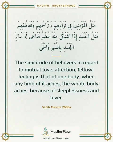 Sahih Muslim 2586a: The similitude of believers in regard to mutual love, affection, fellow-feeling is that of one…