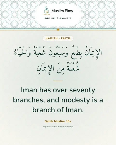 Sahih Muslim 35a: Iman has over seventy branches, and modesty is a branch of Iman.