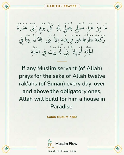 Sahih Muslim 728c: If any Muslim servant (of Allah) prays for the sake of Allah twelve rak'ahs (of Sunan) every day…