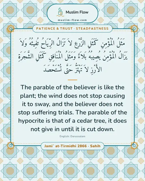 Jami` at-Tirmidhi 2866 · Sahih: The parable of the believer is like the plant; the wind does not stop causing it to sway, and the…