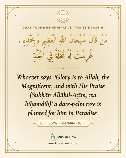 Jami` at-Tirmidhi 3464 · Sahih: Whoever says: ‘Glory is to Allah, the Magnificent, and with His Praise (Subḥān Allāhil-Aẓīm, wa…