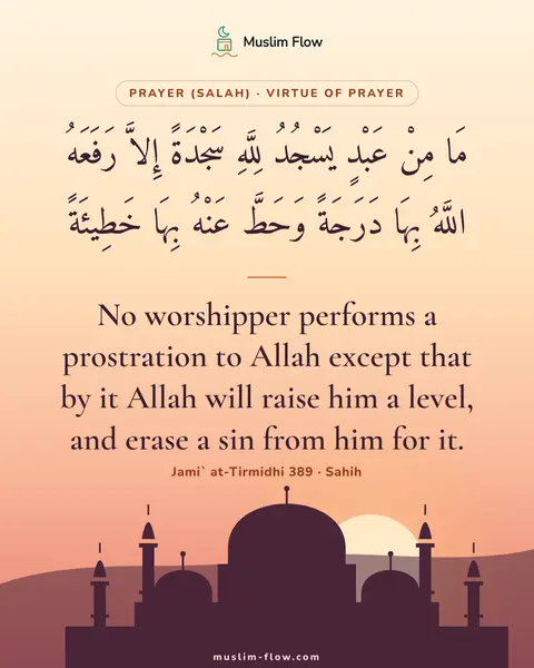 Jami` at-Tirmidhi 389 · Sahih: No worshipper performs a prostration to Allah except that by it Allah will raise him a level, and…