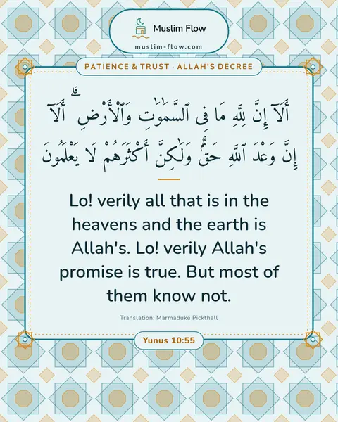Yunus 10:55: Lo! verily all that is in the heavens and the earth is Allah's. Lo! verily Allah's promise is true…