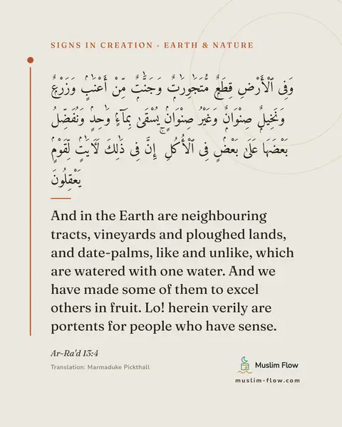 Ar-Ra'd 13:4: And in the Earth are neighbouring tracts, vineyards and ploughed lands, and date-palms, like and…