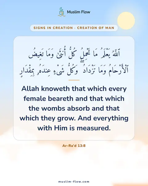 Ar-Ra'd 13:8: Allah knoweth that which every female beareth and that which the wombs absorb and that which they…