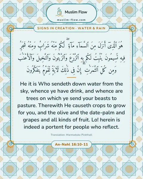 An-Nahl 16:10-11: He it is Who sendeth down water from the sky, whence ye have drink, and whence are trees on which…