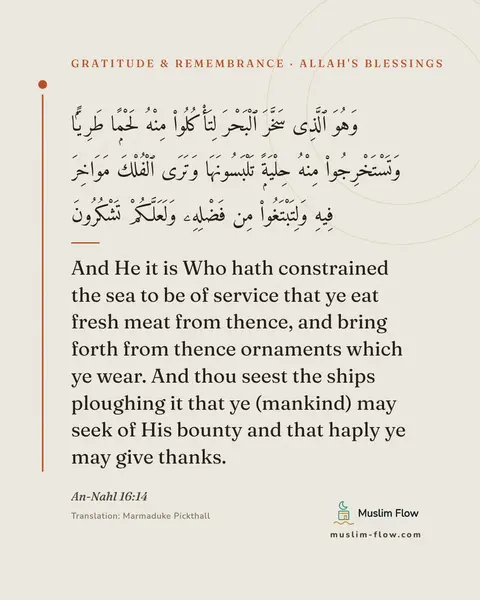 An-Nahl 16:14: And He it is Who hath constrained the sea to be of service that ye eat fresh meat from thence, and…