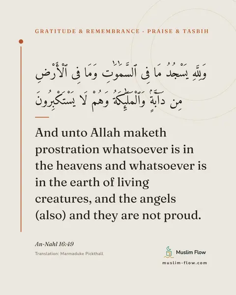 An-Nahl 16:49: And unto Allah maketh prostration whatsoever is in the heavens and whatsoever is in the earth of…
