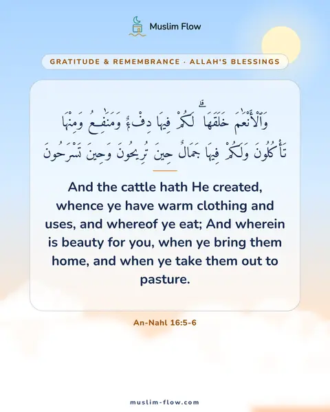 An-Nahl 16:5-6: And the cattle hath He created, whence ye have warm clothing and uses, and whereof ye eat; And…