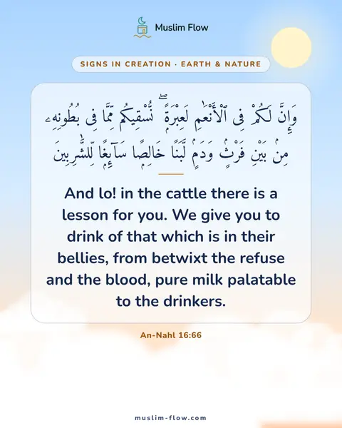 An-Nahl 16:66: And lo! in the cattle there is a lesson for you. We give you to drink of that which is in their…