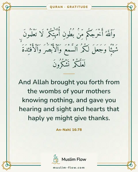An-Nahl 16:78: And Allah brought you forth from the wombs of your mothers knowing nothing, and gave you hearing…