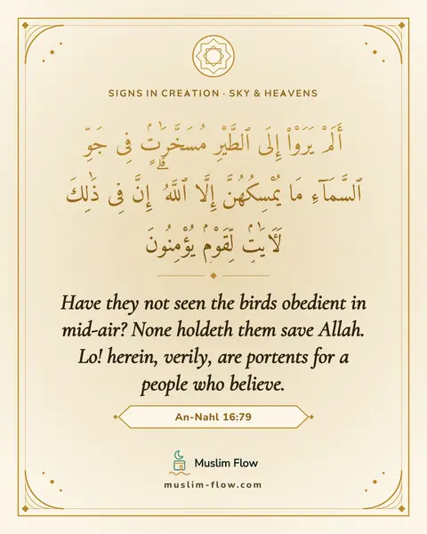 An-Nahl 16:79: Have they not seen the birds obedient in mid-air? None holdeth them save Allah. Lo! herein, verily…