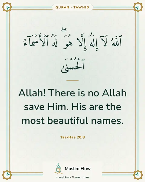 Taa-Haa 20:8: Allah! There is no Allah save Him. His are the most beautiful names.