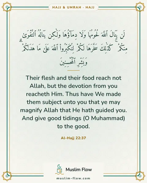 Al-Hajj 22:37: Their flesh and their food reach not Allah, but the devotion from you reacheth Him. Thus have We…