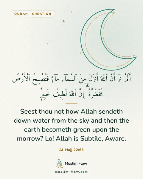 Al-Hajj 22:63: Seest thou not how Allah sendeth down water from the sky and then the earth becometh green upon the…
