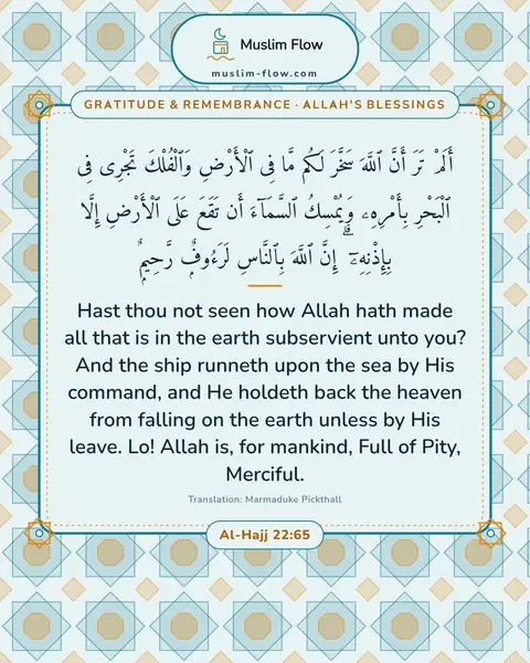 Al-Hajj 22:65: Hast thou not seen how Allah hath made all that is in the earth subservient unto you? And the ship…