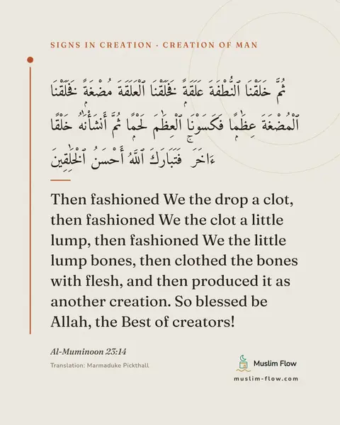 Al-Muminoon 23:14: Then fashioned We the drop a clot, then fashioned We the clot a little lump, then fashioned We the…