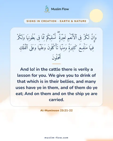 Al-Muminoon 23:21-22: And lo! in the cattle there is verily a lesson for you. We give you to drink of that which is in…