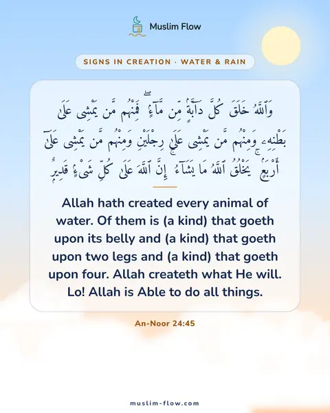 An-Noor 24:45: Allah hath created every animal of water. Of them is (a kind) that goeth upon its belly and (a…