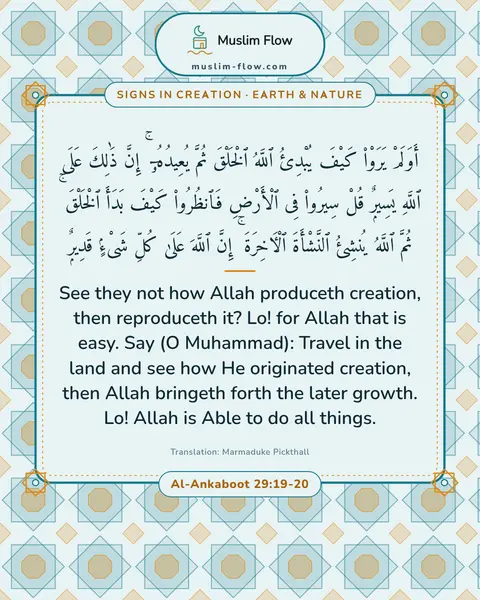 Al-Ankaboot 29:19-20: See they not how Allah produceth creation, then reproduceth it? Lo! for Allah that is easy. Say (O…