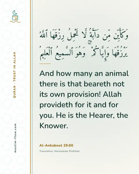 Al-Ankaboot 29:60: And how many an animal there is that beareth not its own provision! Allah provideth for it and for…