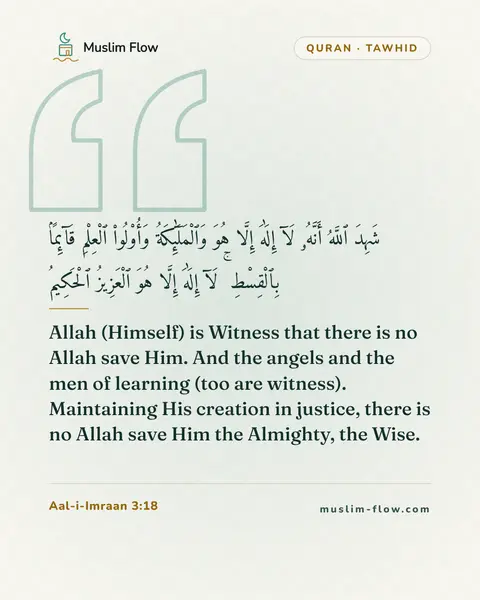 Aal-i-Imraan 3:18: Allah (Himself) is Witness that there is no Allah save Him. And the angels and the men of learning…