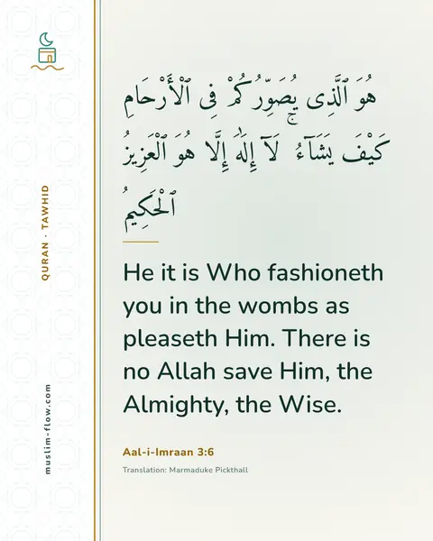 Aal-i-Imraan 3:6: He it is Who fashioneth you in the wombs as pleaseth Him. There is no Allah save Him, the Almighty…