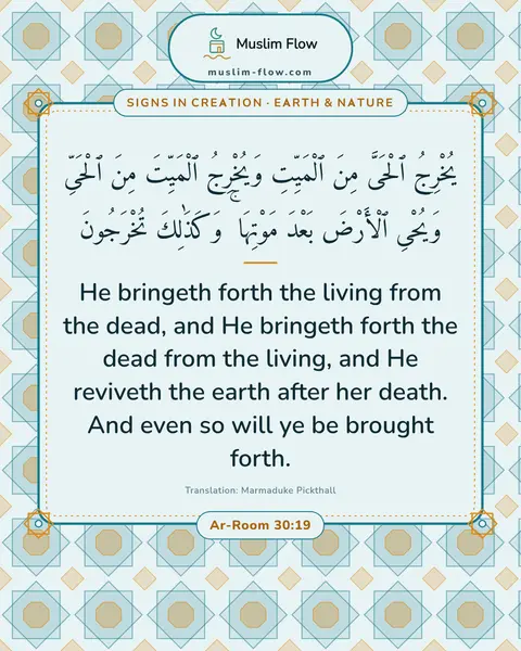 Ar-Room 30:19: He bringeth forth the living from the dead, and He bringeth forth the dead from the living, and He…
