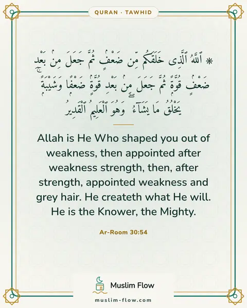 Ar-Room 30:54: Allah is He Who shaped you out of weakness, then appointed after weakness strength, then, after…