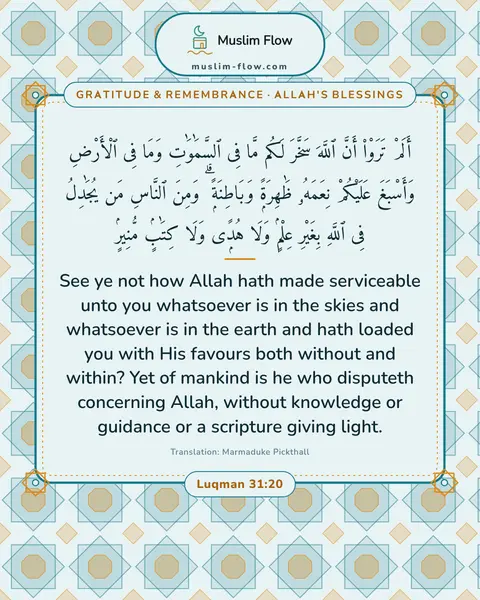 Luqman 31:20: See ye not how Allah hath made serviceable unto you whatsoever is in the skies and whatsoever is in…