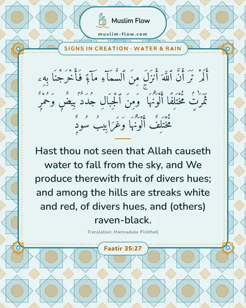 Faatir 35:27: Hast thou not seen that Allah causeth water to fall from the sky, and We produce therewith fruit of…