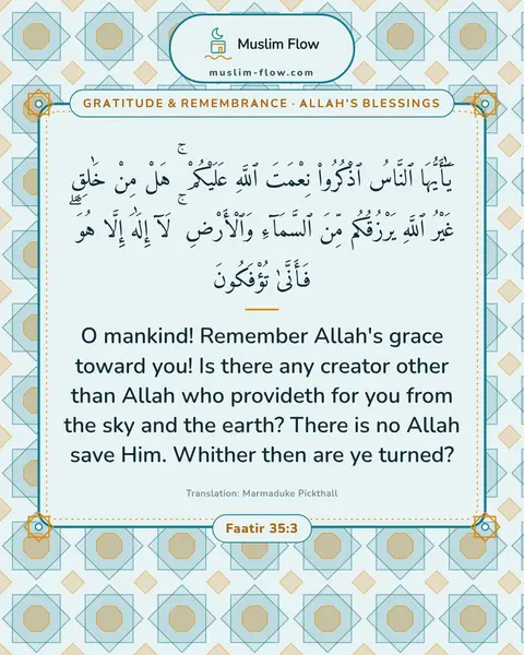 Faatir 35:3: O mankind! Remember Allah's grace toward you! Is there any creator other than Allah who provideth…