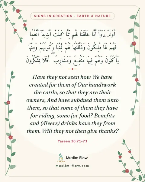 Yaseen 36:71-73: Have they not seen how We have created for them of Our handiwork the cattle, so that they are their…