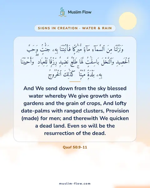 Qaaf 50:9-11: And We send down from the sky blessed water whereby We give growth unto gardens and the grain of…