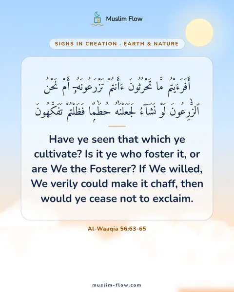 Al-Waaqia 56:63-65: Have ye seen that which ye cultivate? Is it ye who foster it, or are We the Fosterer? If We willed…