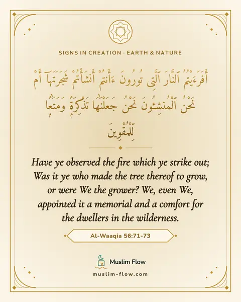Al-Waaqia 56:71-73: Have ye observed the fire which ye strike out; Was it ye who made the tree thereof to grow, or were…