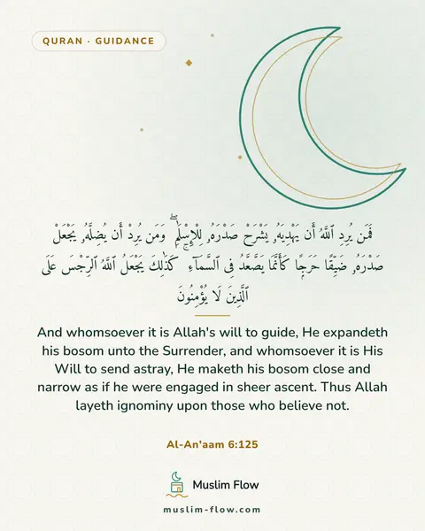 Al-An'aam 6:125: And whomsoever it is Allah's will to guide, He expandeth his bosom unto the Surrender, and…