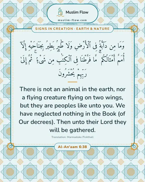 Al-An'aam 6:38: There is not an animal in the earth, nor a flying creature flying on two wings, but they are…