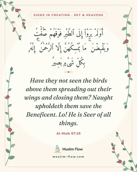Al-Mulk 67:19: Have they not seen the birds above them spreading out their wings and closing them? Naught…