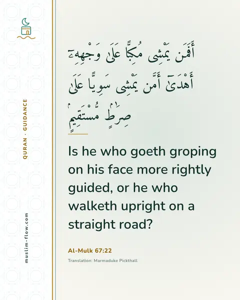 Al-Mulk 67:22: Is he who goeth groping on his face more rightly guided, or he who walketh upright on a straight…