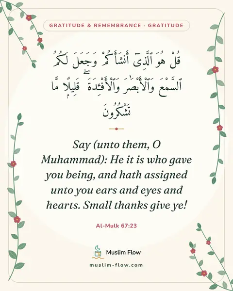 Al-Mulk 67:23: Say (unto them, O Muhammad): He it is who gave you being, and hath assigned unto you ears and eyes…