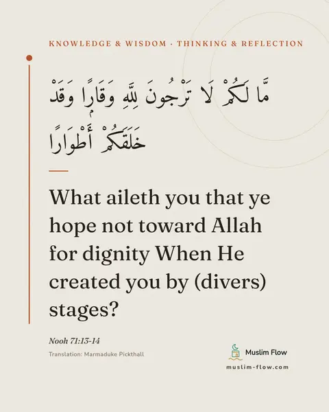 Nooh 71:13-14: What aileth you that ye hope not toward Allah for dignity When He created you by (divers) stages?