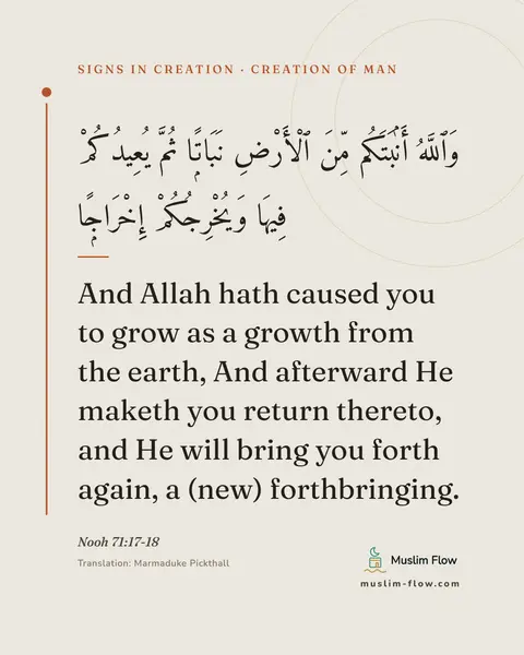 Nooh 71:17-18: And Allah hath caused you to grow as a growth from the earth, And afterward He maketh you return…