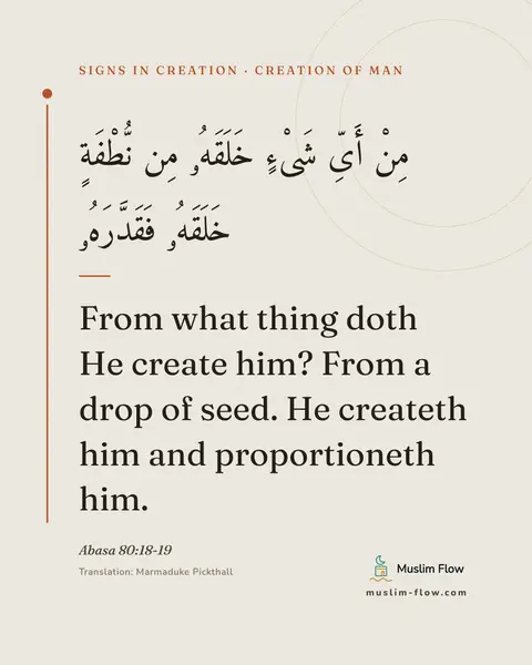 Abasa 80:18-19: From what thing doth He create him? From a drop of seed. He createth him and proportioneth him.
